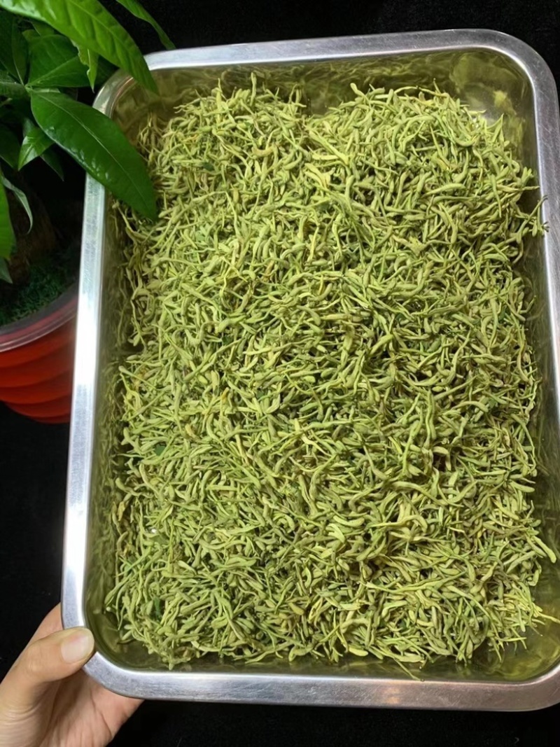 金银行优质银花花茶带绒毛颜色青金银花茶