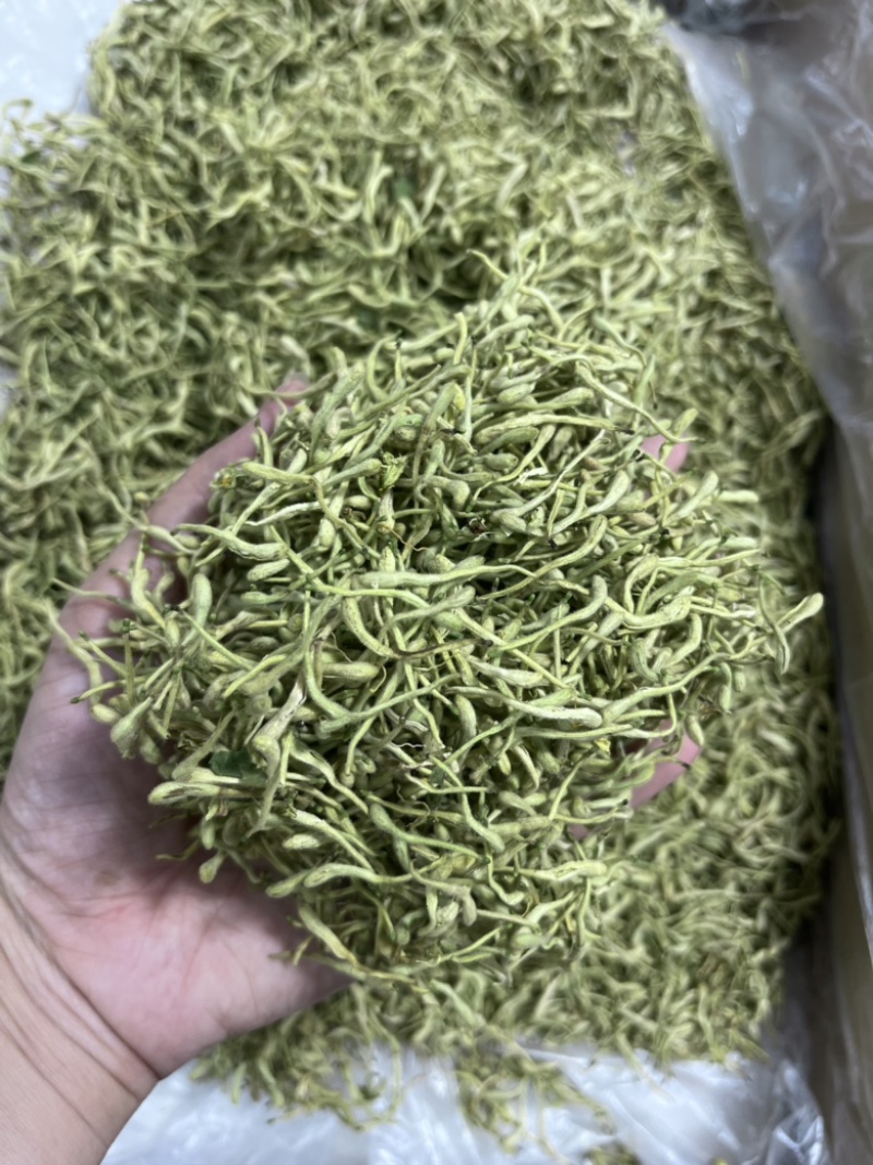 金银行优质银花花茶带绒毛颜色青金银花茶