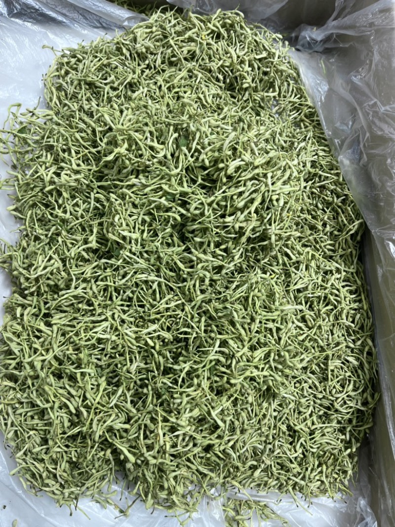 金银行优质银花花茶带绒毛颜色青金银花茶