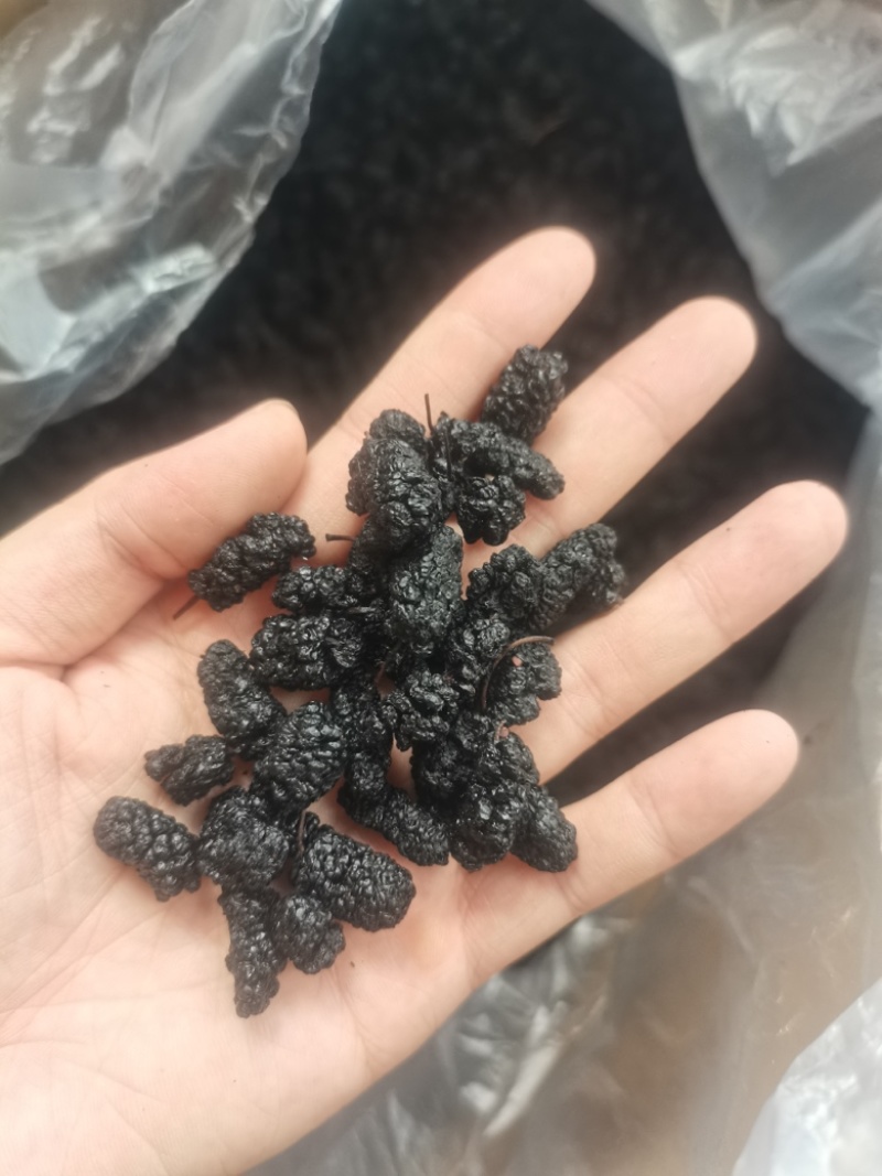 桑葚桑葚干可泡酒当零食直接吃！桑葚果大颗粒