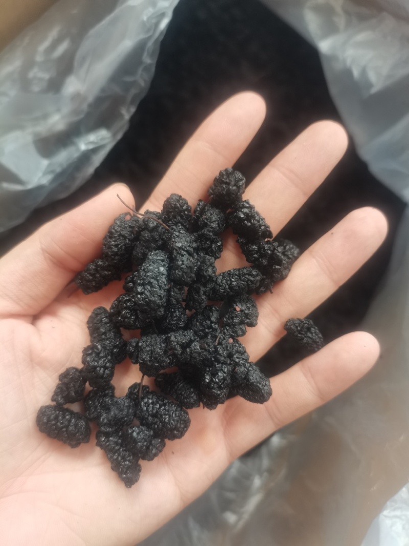 桑葚桑葚干可泡酒当零食直接吃！桑葚果大颗粒
