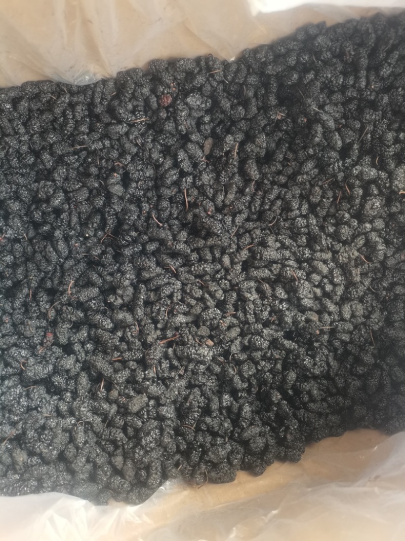 桑葚桑葚干可泡酒当零食直接吃！桑葚果大颗粒