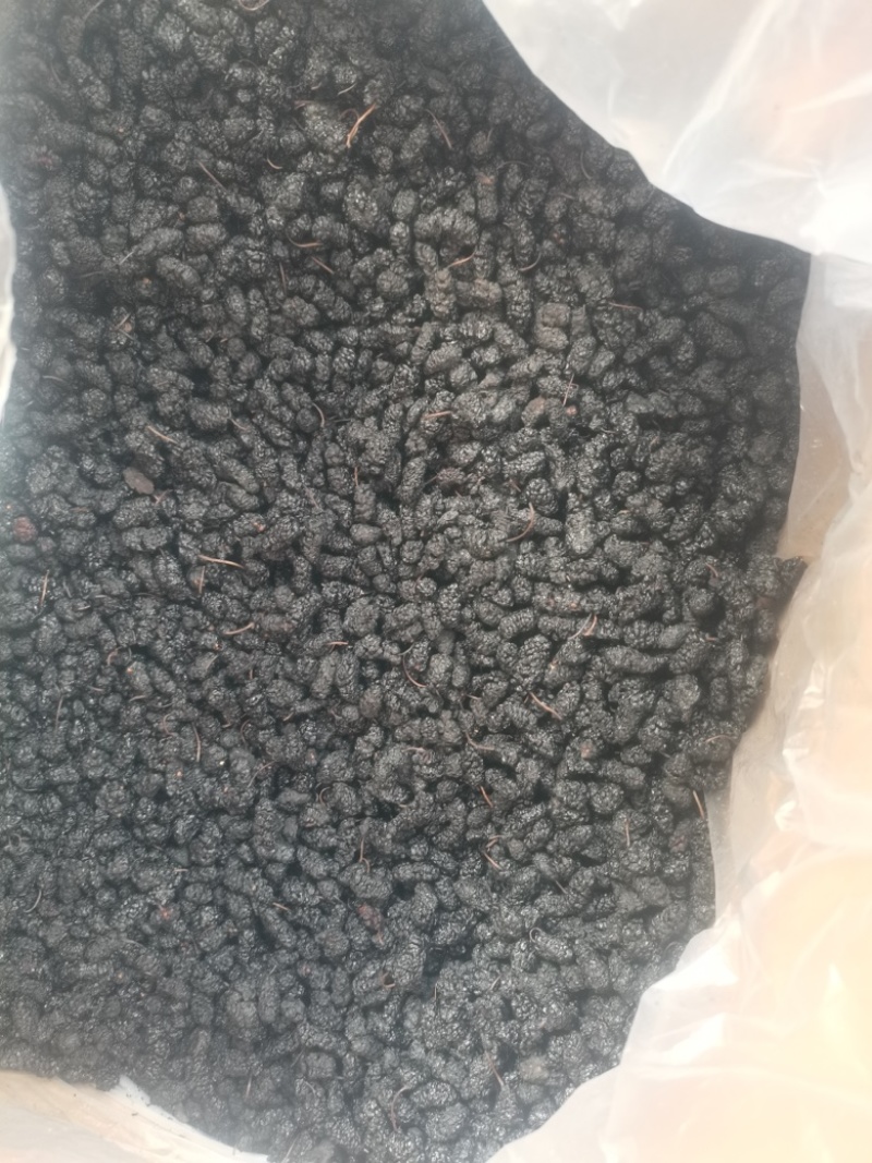 桑葚桑葚干可泡酒当零食直接吃！桑葚果大颗粒