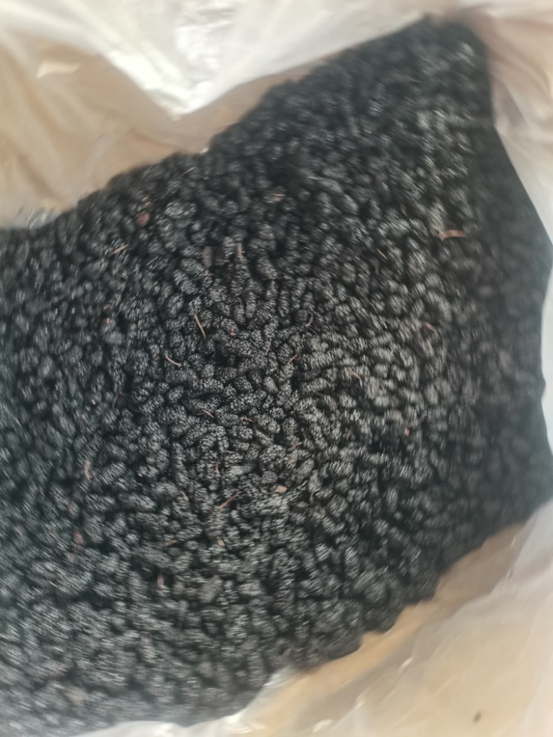 桑葚桑葚干可泡酒当零食直接吃！桑葚果大颗粒