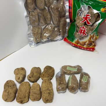 云南昭通乌天麻500克大量批发短胖天麻天麻