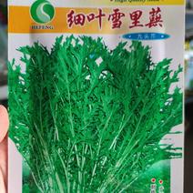 细叶雪里蕻九头芥芥菜种子，500克，香味浓郁