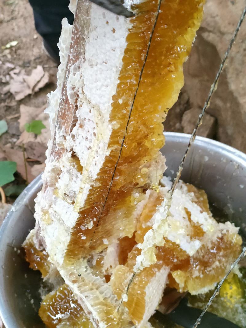 土蜂蜜