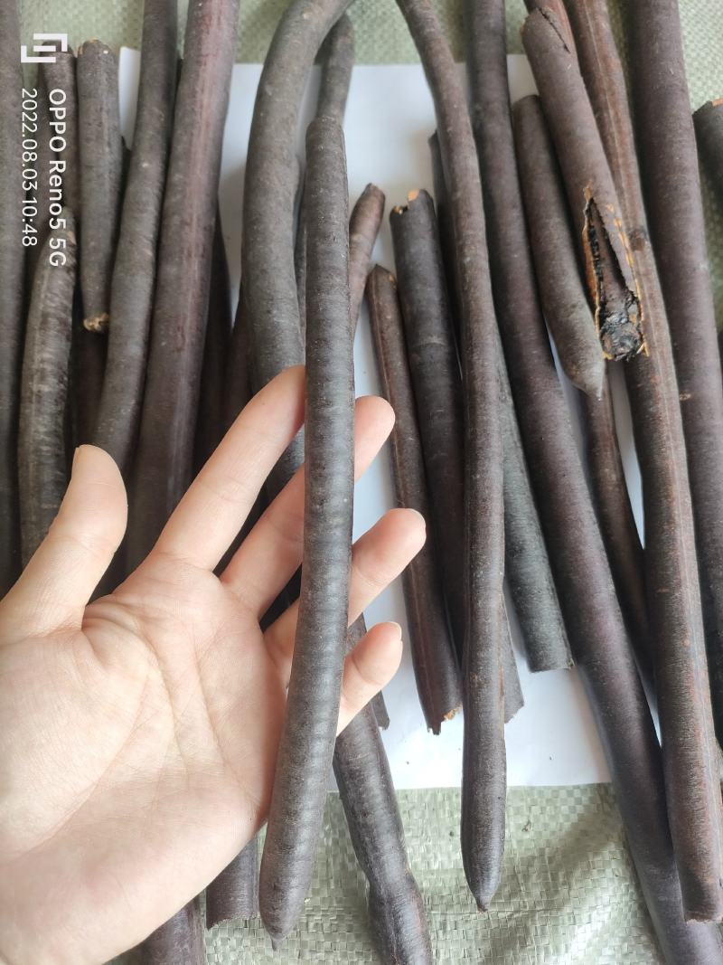 （热销）便秘果通便果整根整条祥泰药材栈中药材批发零售量