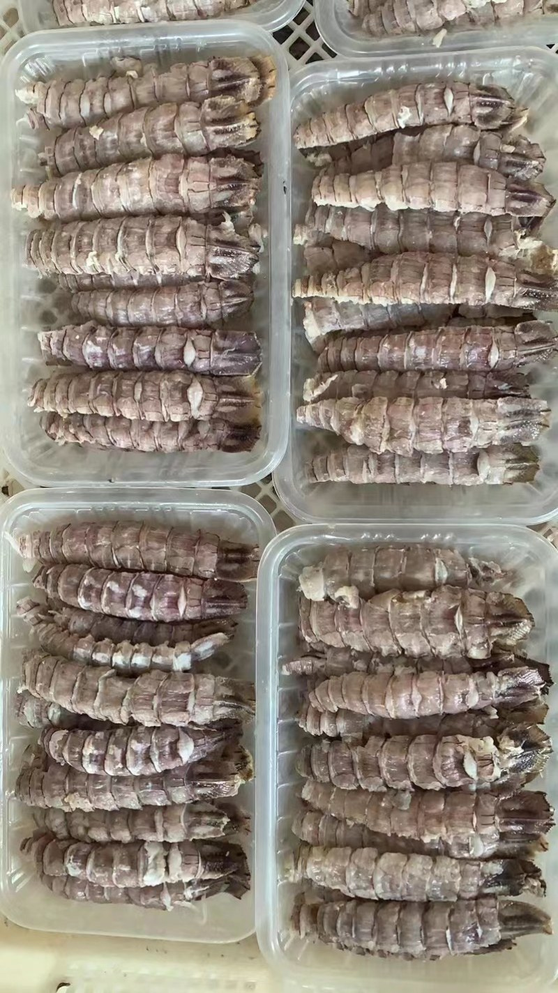 虾爬子，皮皮虾