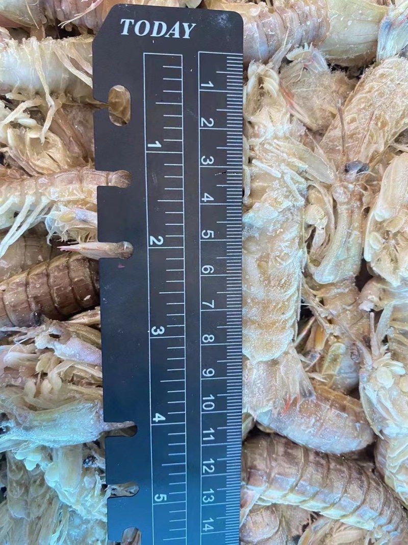虾爬子，皮皮虾