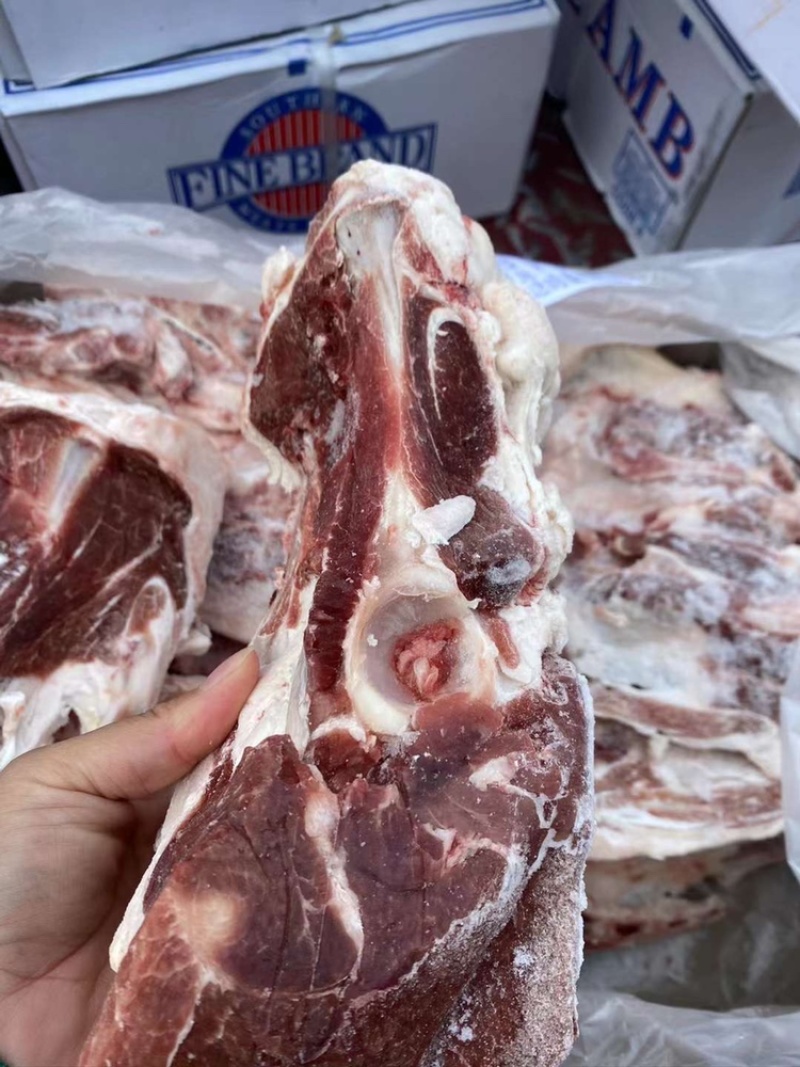 羔羊胯骨，满肉，新货，郑州现货，量大从优
