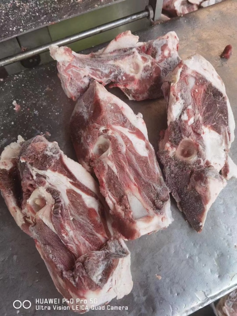 羔羊胯骨，满肉，新货，郑州现货，量大从优