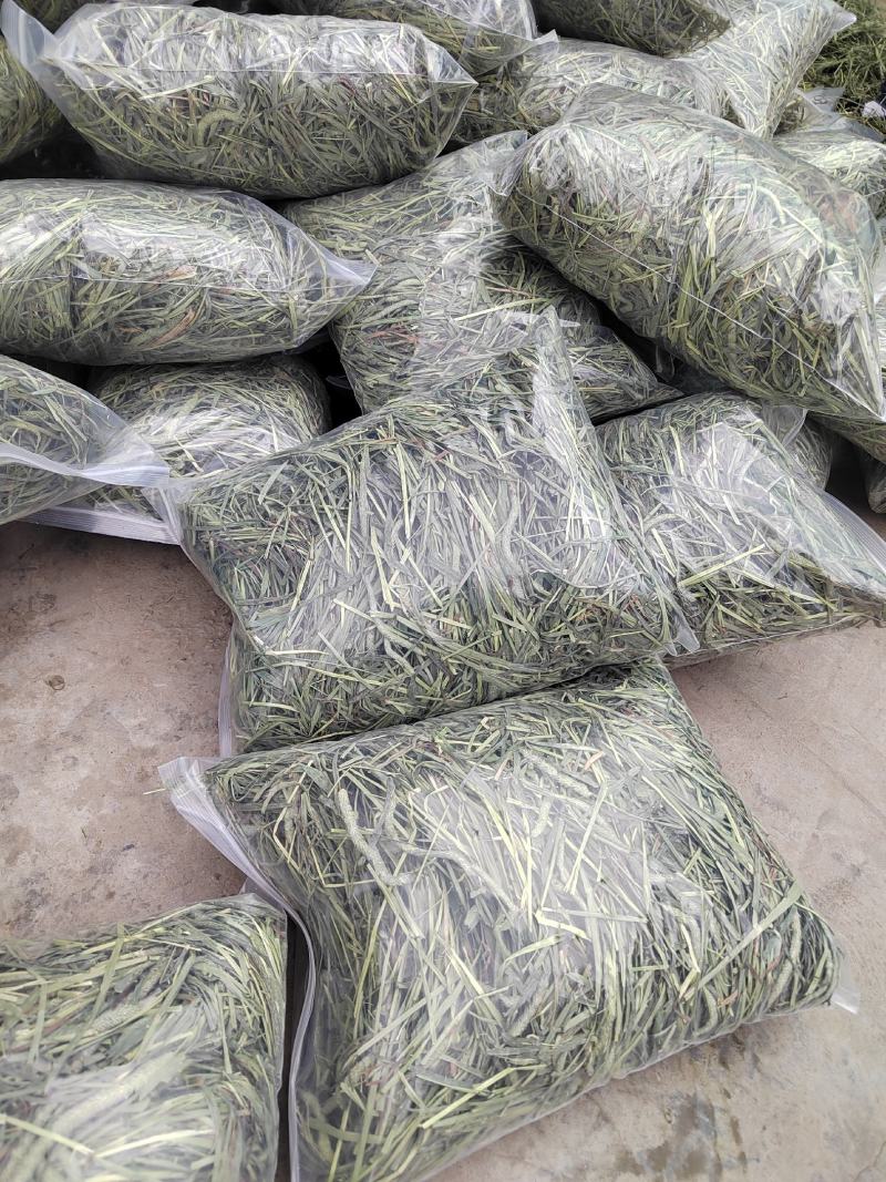 提摩西晒干草