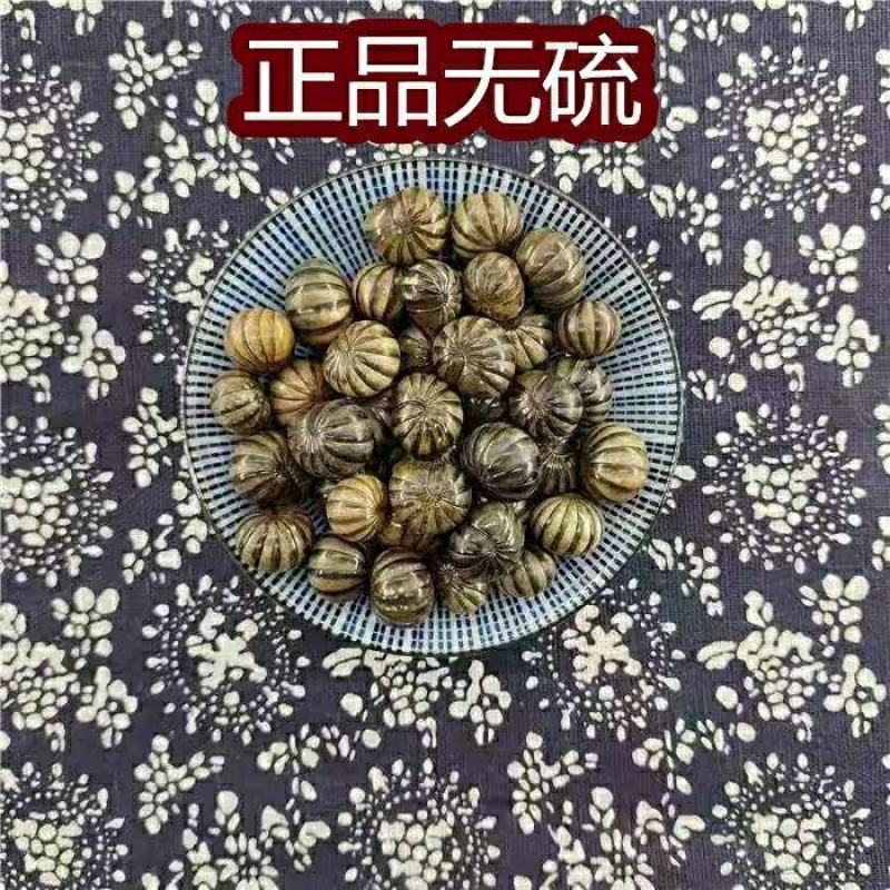 中药材滚山珠新货滚山虫滚山珠地罗汉