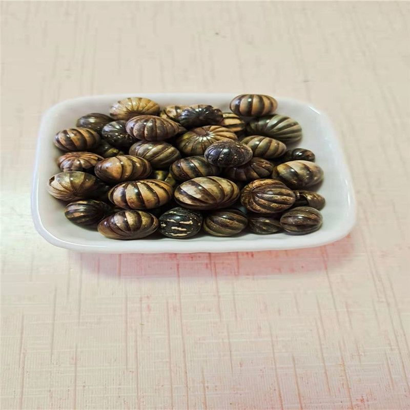 中药材滚山珠新货滚山虫滚山珠地罗汉