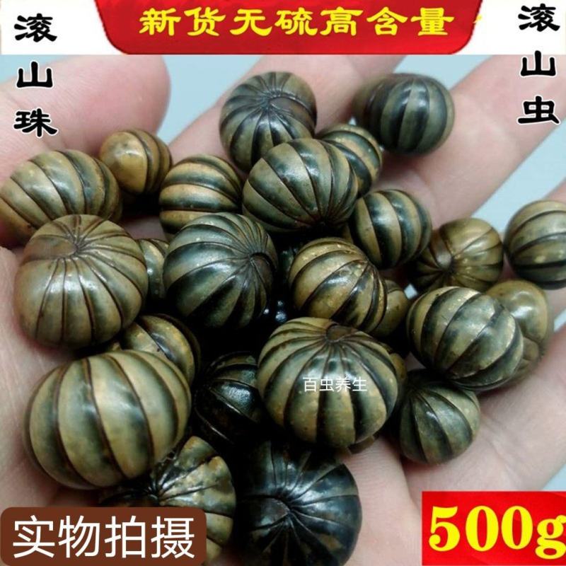 中药材滚山珠新货滚山虫滚山珠地罗汉