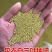 进口三叶草种子红三叶草籽护坡固土白三叶草果园绿肥绿化改善