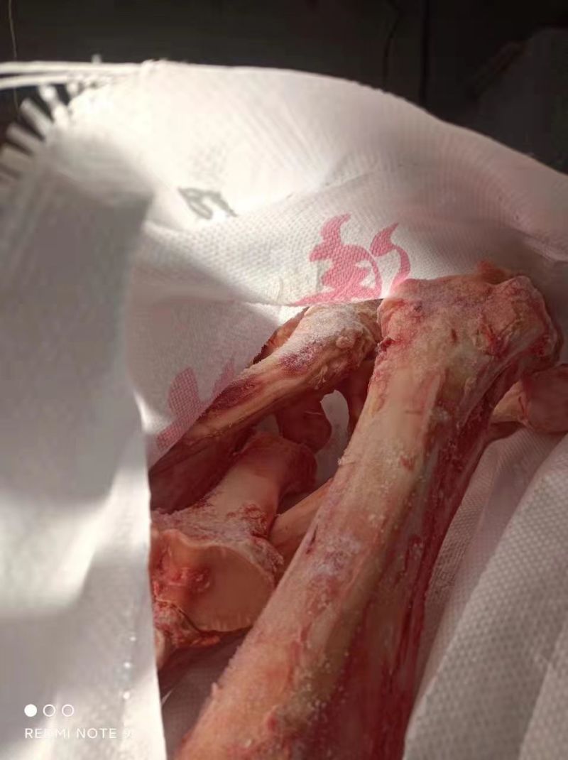 牛扁骨，牛棒骨，牛杂骨，牛腿骨，大量现货，食品级，熬汤用