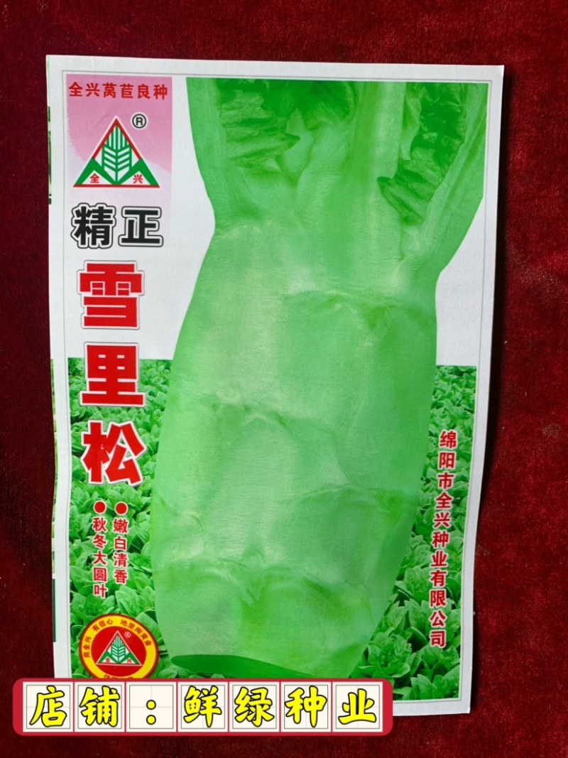 全兴茎用莴苣精正系列：净菜率高，风味佳，商品性好