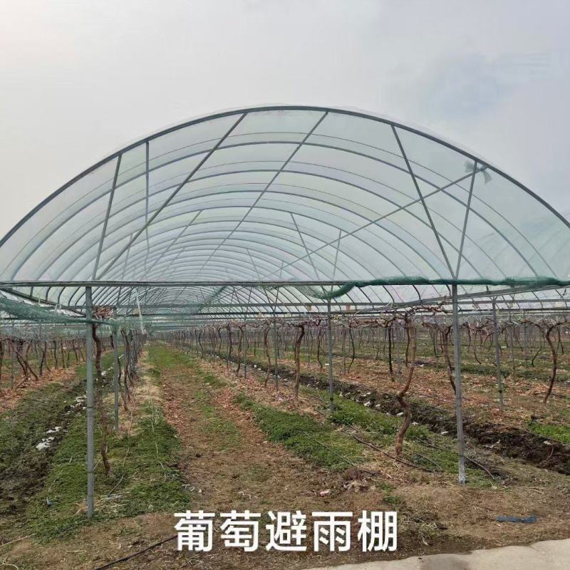养殖大棚，几字钢大棚，联动大棚，安装一站式服务