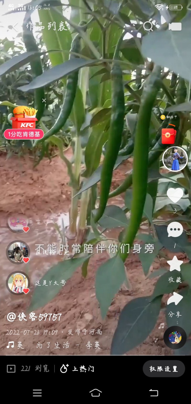 艳红辣椒