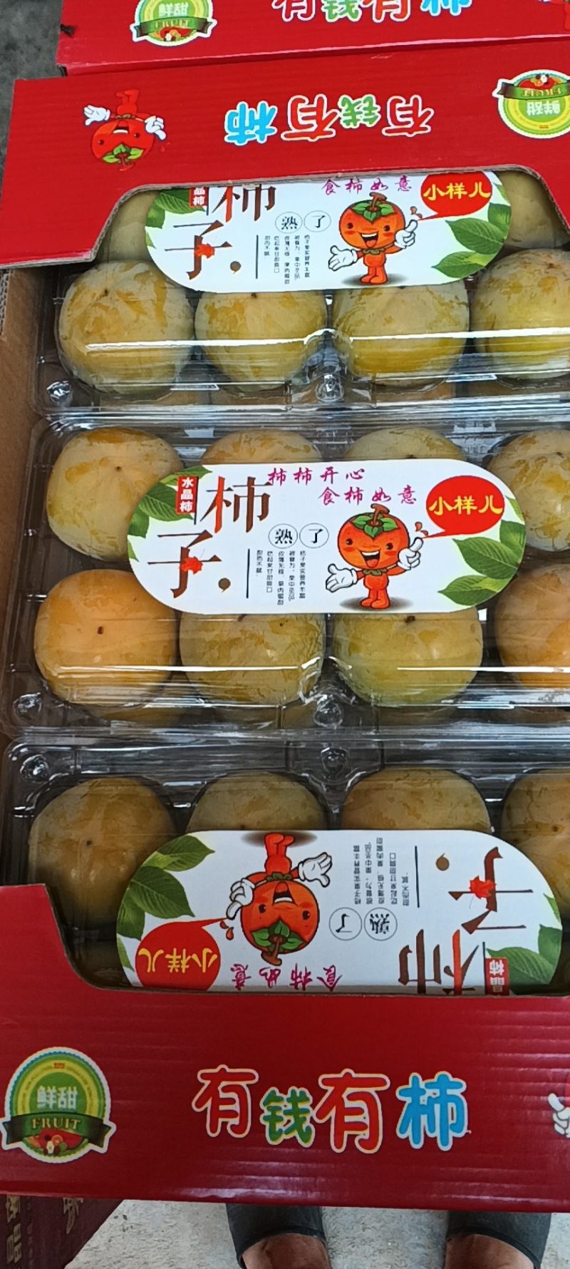 大荔县七月黄精品柿子