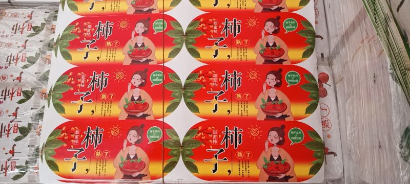 大荔县七月黄精品柿子