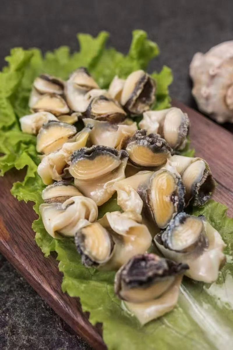 单冻海螺肉全国发货餐饮可用江苏连云港发货