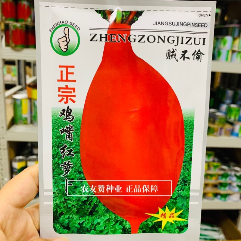 贼不偷萝卜种子正宗鸡嘴红萝卜种子大红皮白肉秋萝卜种子