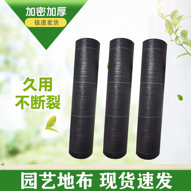 防草布果园抗老化园艺地布果树透水遮草盖草布透气大棚除草布