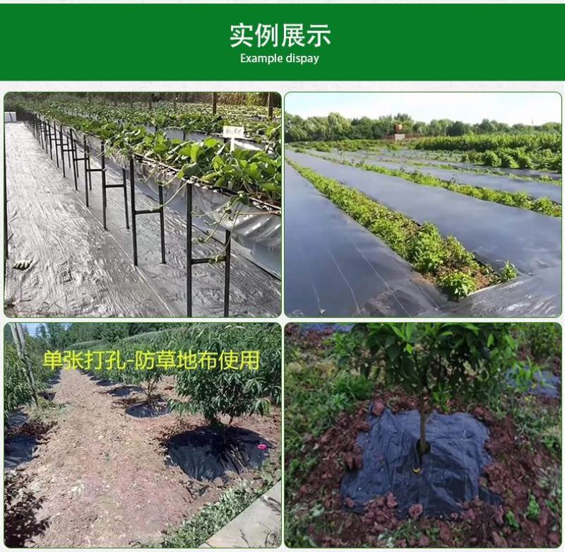 防草布果园抗老化园艺地布果树透水遮草盖草布透气大棚除草布