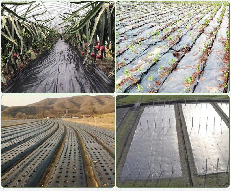 防草布果园抗老化园艺地布果树透水遮草盖草布透气大棚除草布