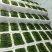 河南濮阳水果秋葵黄秋葵大量供应品质保证专业秋