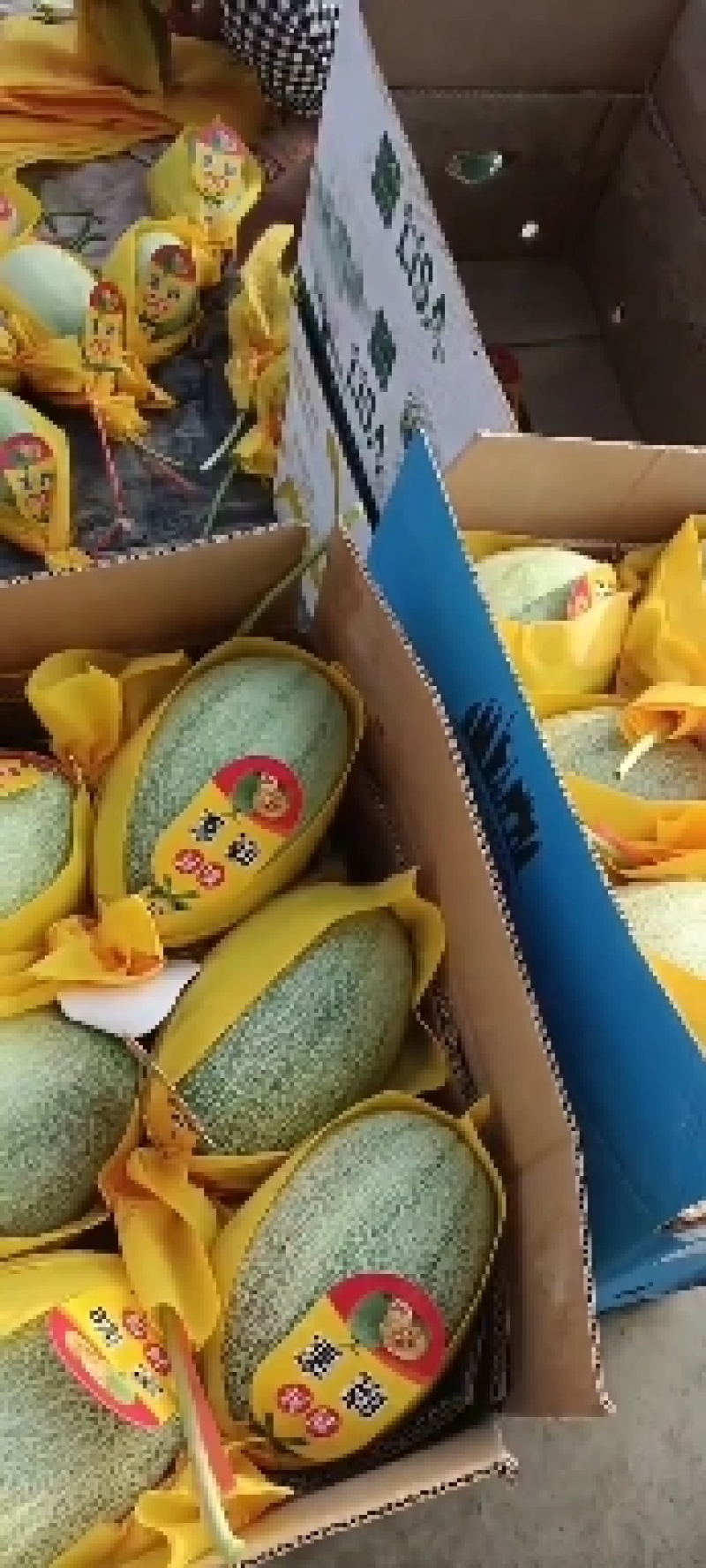 小蜜二五，有电商货，糖度高，产地支发，可以视频看货，