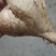 江西凉薯。种植基地供货量大新苗凉薯口感脆甜。多汁水分足。