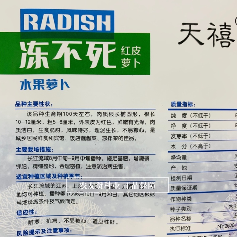 红皮萝卜种子水果萝卜不易糠心生食脆甜萝卜种籽