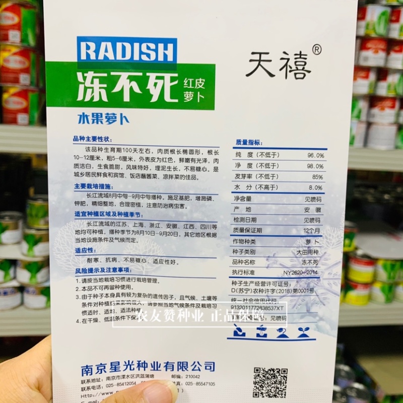 红皮萝卜种子水果萝卜不易糠心生食脆甜萝卜种籽