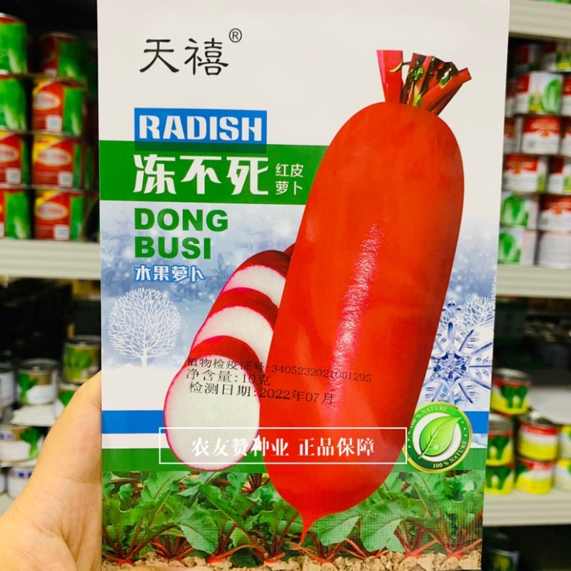 红皮萝卜种子水果萝卜不易糠心生食脆甜萝卜种籽