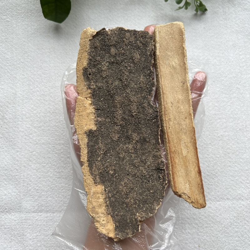 云南药材椿树皮臭椿树皮椿树干皮椿身皮500g包邮