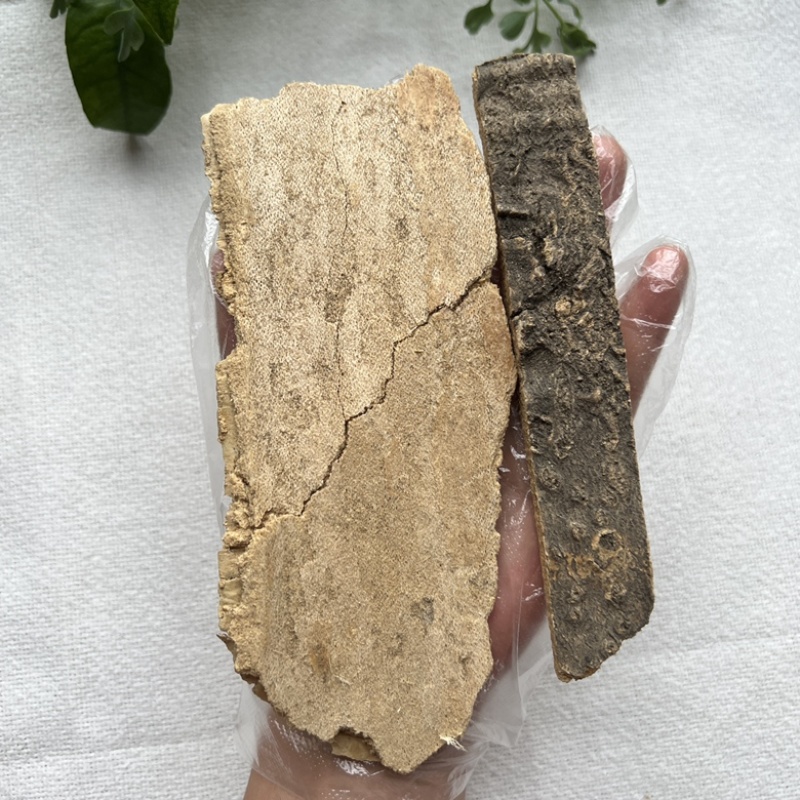 云南药材椿树皮臭椿树皮椿树干皮椿身皮500g包邮