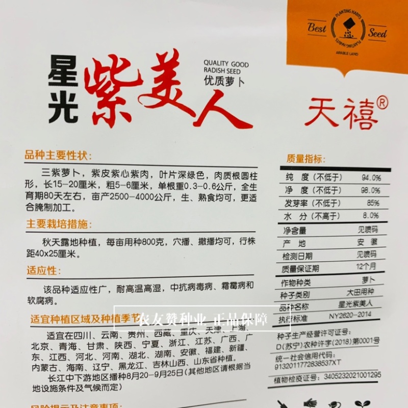 星光紫美人萝卜种子紫皮紫心紫肉萝卜种子生熟食腌制萝卜干