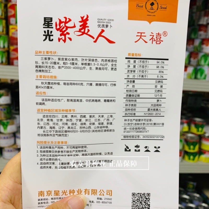 星光紫美人萝卜种子紫皮紫心紫肉萝卜种子生熟食腌制萝卜干