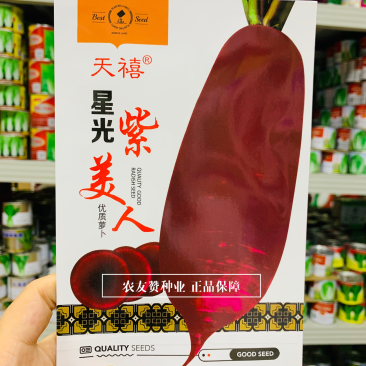 星光紫美人萝卜种子紫皮紫心紫肉萝卜种子生熟食腌制萝卜干