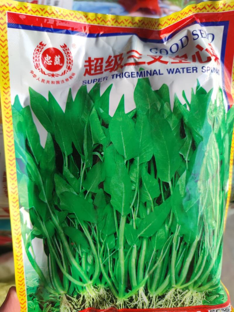 c三叉空心菜种子500克