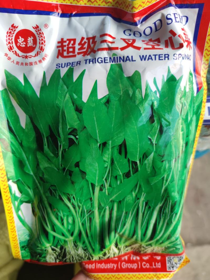c三叉空心菜种子500克
