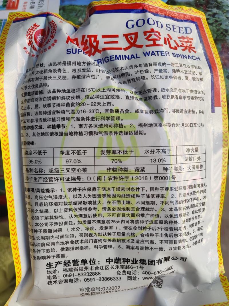 c三叉空心菜种子500克
