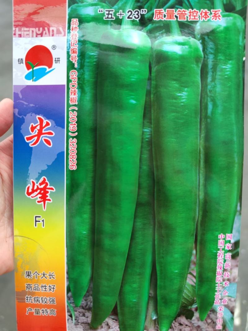尖峰椒w辣椒种子，1000粒