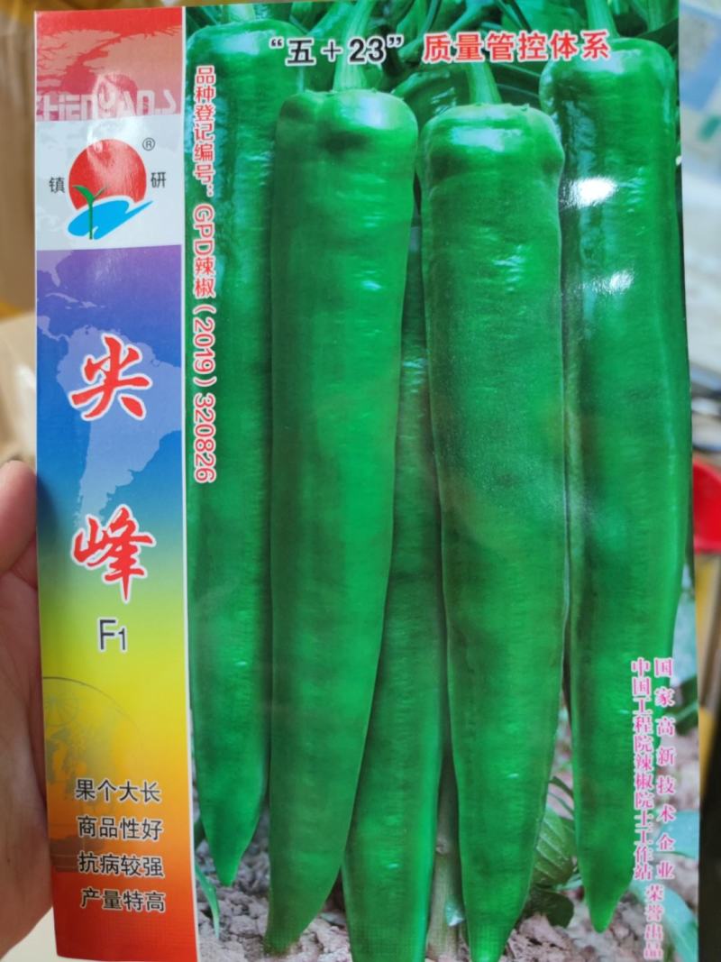 尖峰椒w辣椒种子，1000粒