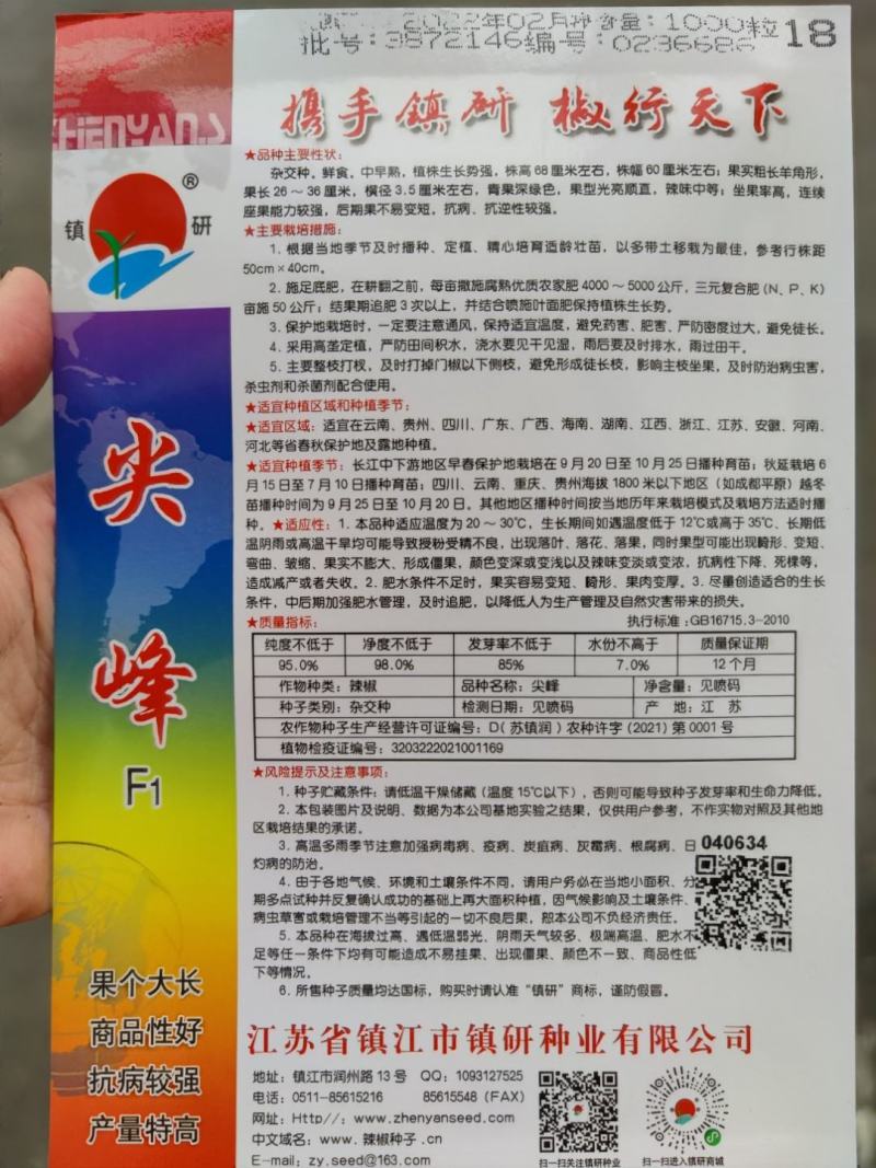 尖峰椒w辣椒种子，1000粒