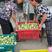 湖南靖州奈李产区直销一手货源7月开釆啦！个头均称，味甜。